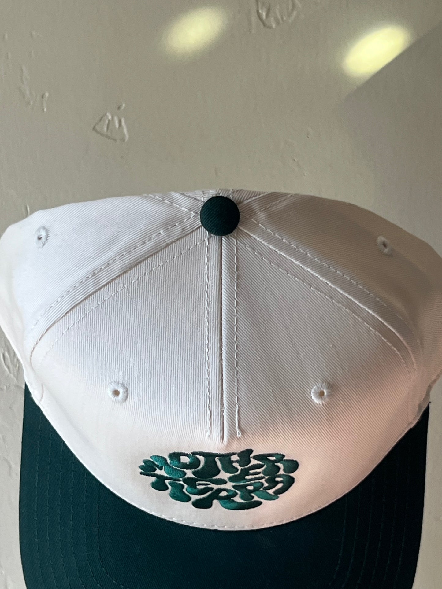 Evergreen logo block snapback