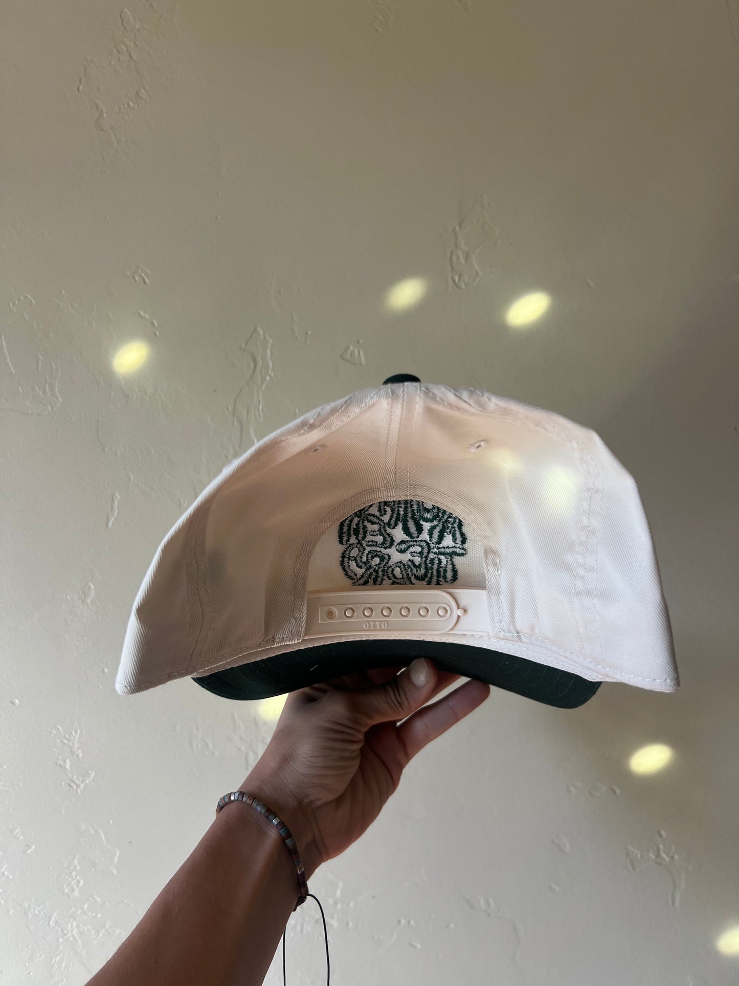 Evergreen logo block snapback